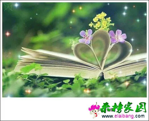 231637oztmwitxxyywtizr.webp