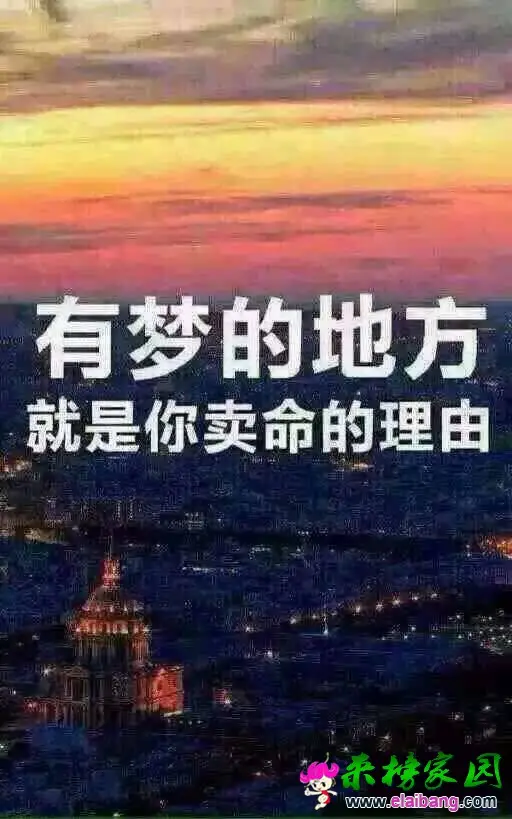 233224cyz5hryav533rwr5.webp