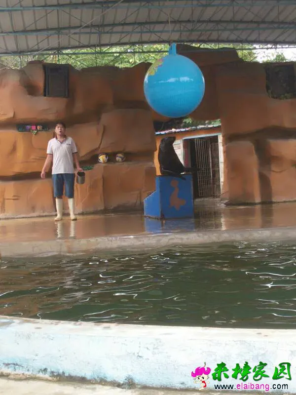 145742xzftnl8nptajpngy.webp