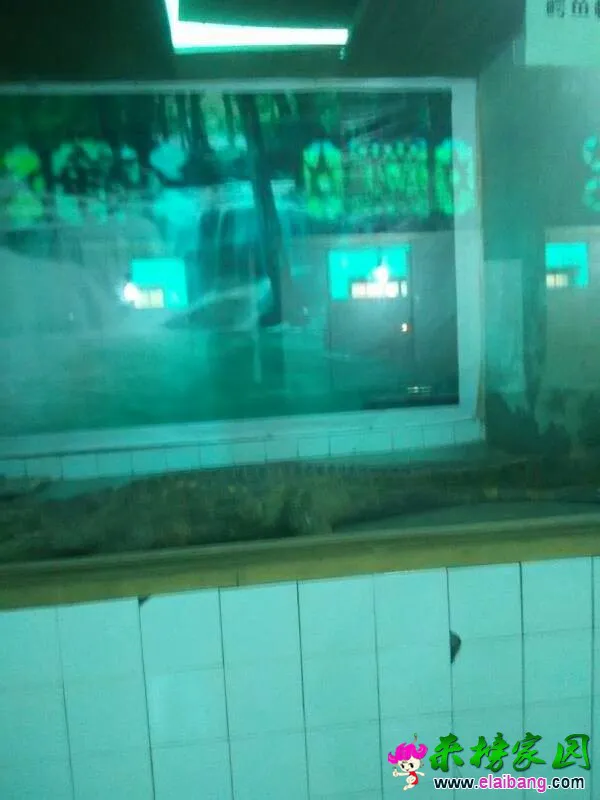 150338dvbyoacllyva8xln.webp