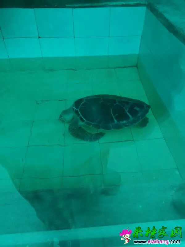 150529m14zwj64gzu0619g.webp