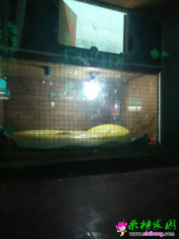 150735jjgjjjg4xjaygwzx.webp