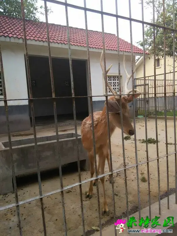 151349o7ag17813c880cgr.webp