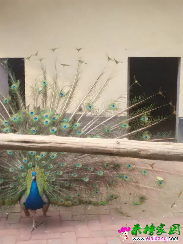 151618t0cn7chhoshrh4z4.webp