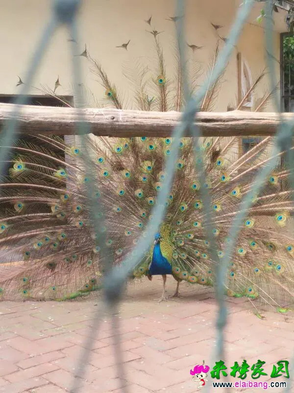 151619y5xw7655xrhth6uu.webp