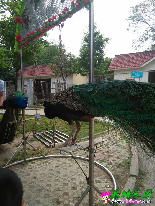 151620som6o54556lflt4t.webp