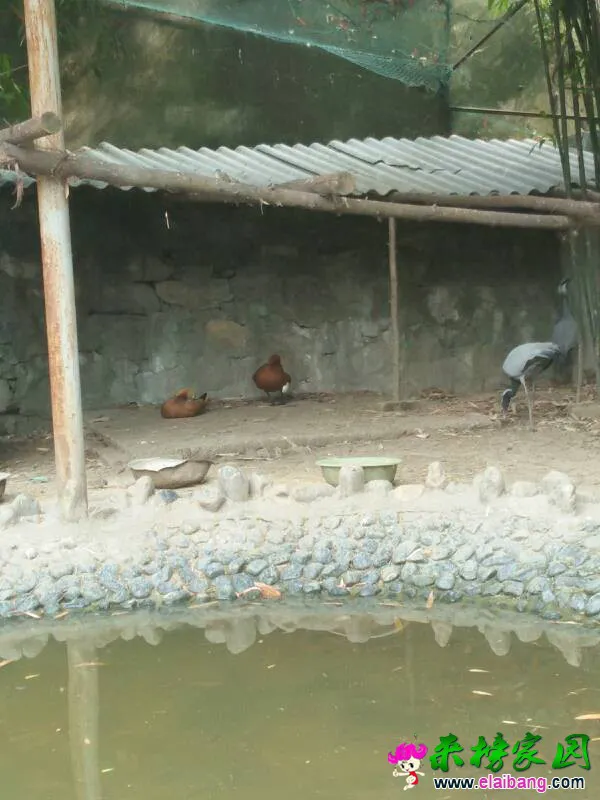 152521iiiv8y3yin43y3sn.webp
