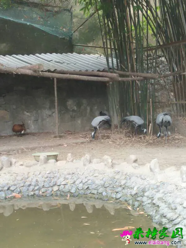 152522iwzjfj12fj4x51nx.webp