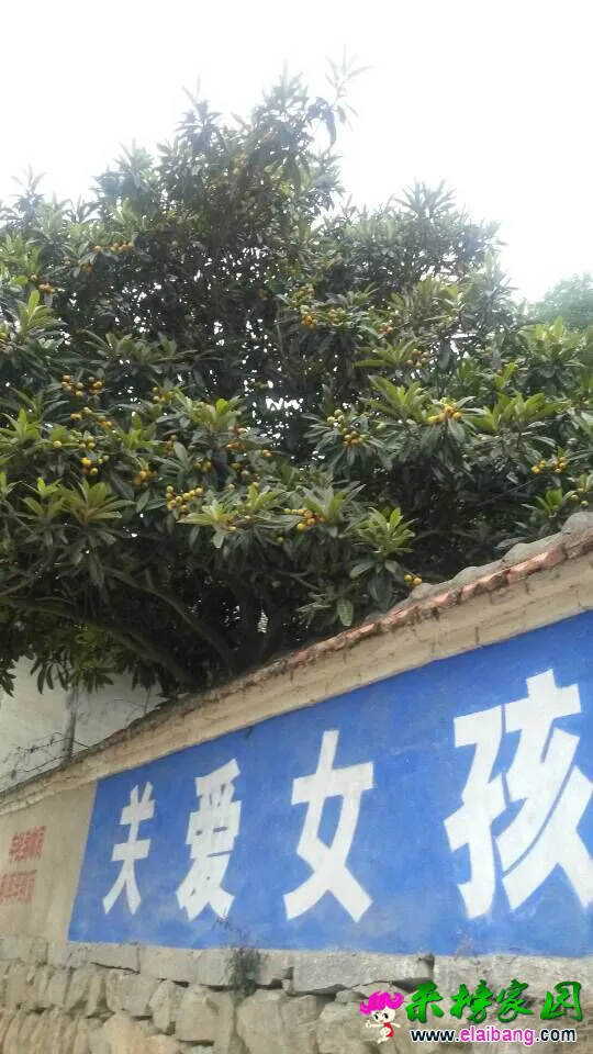 QQ图片2015052519202711.webp