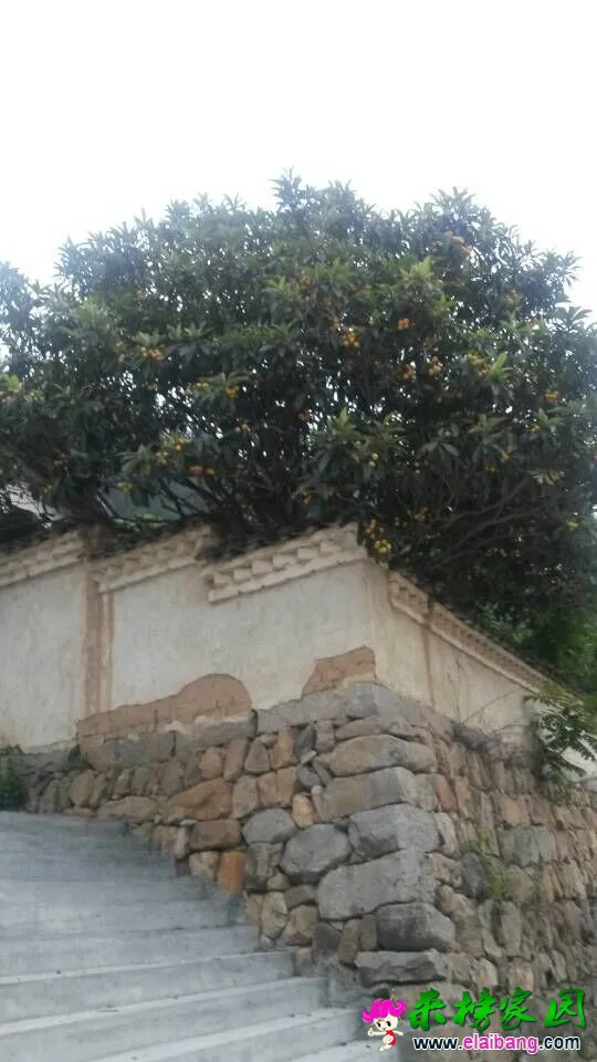 QQ图片2015052519204022.webp