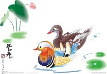 t01c345ae7e58ecccdd.webp