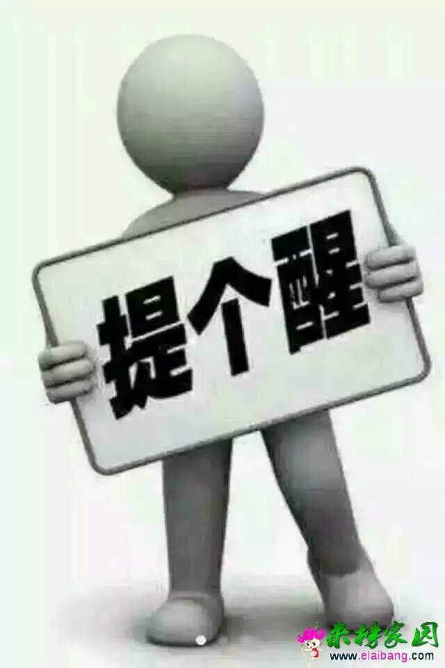 224740bbuw8wzwvwozjqbh.webp