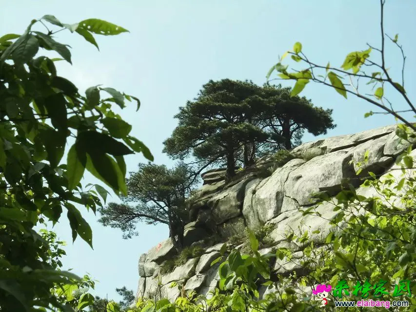 psb (39).webp