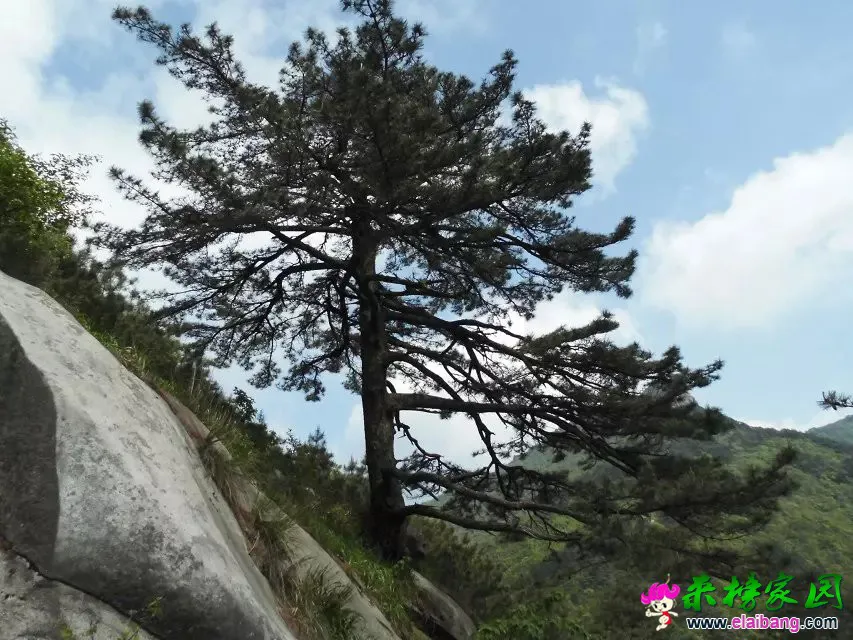 psb (38).webp