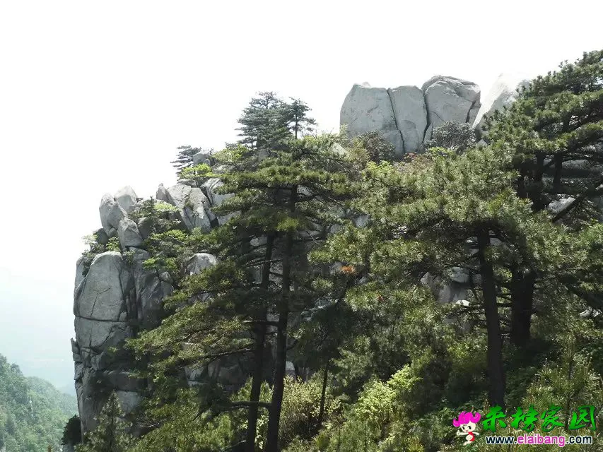 psb (26).webp