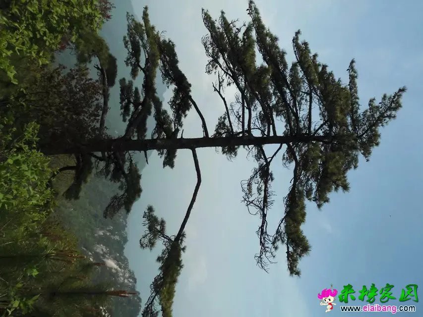psb (54).webp