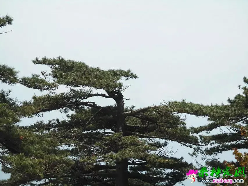 psb (45).webp