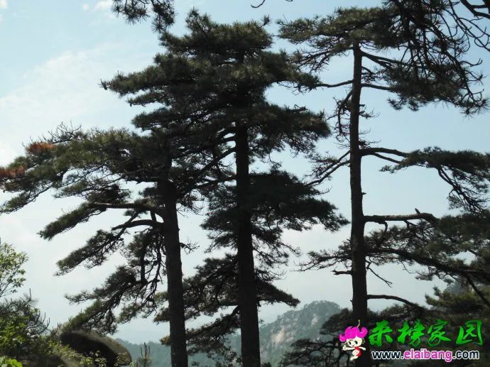 0028Ep8Qgy6Sl6roErHc5&amp;690.webp