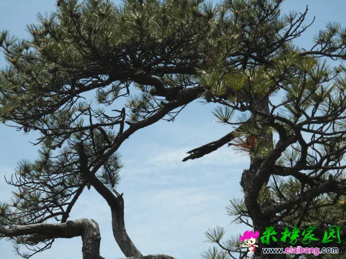 0028Ep8Qgy6Sl6lziwZfd&amp;690.webp