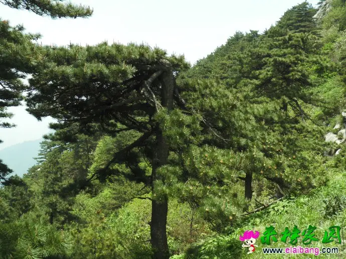 0028Ep8Qgy6Sl5xRj3v2d&amp;690.webp
