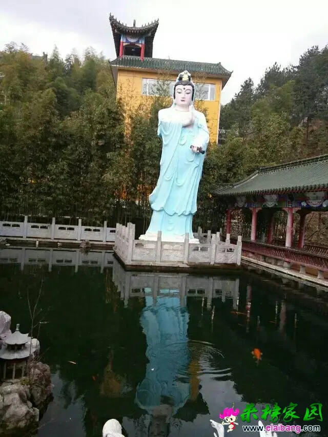 235618vpdvmvsvdeg9ka7p.webp