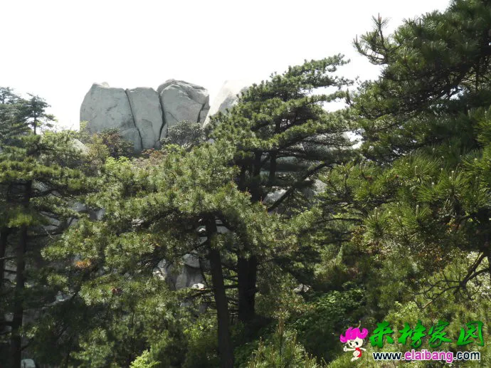 0028Ep8Qgy6SjJUIFQn93&amp;690.webp