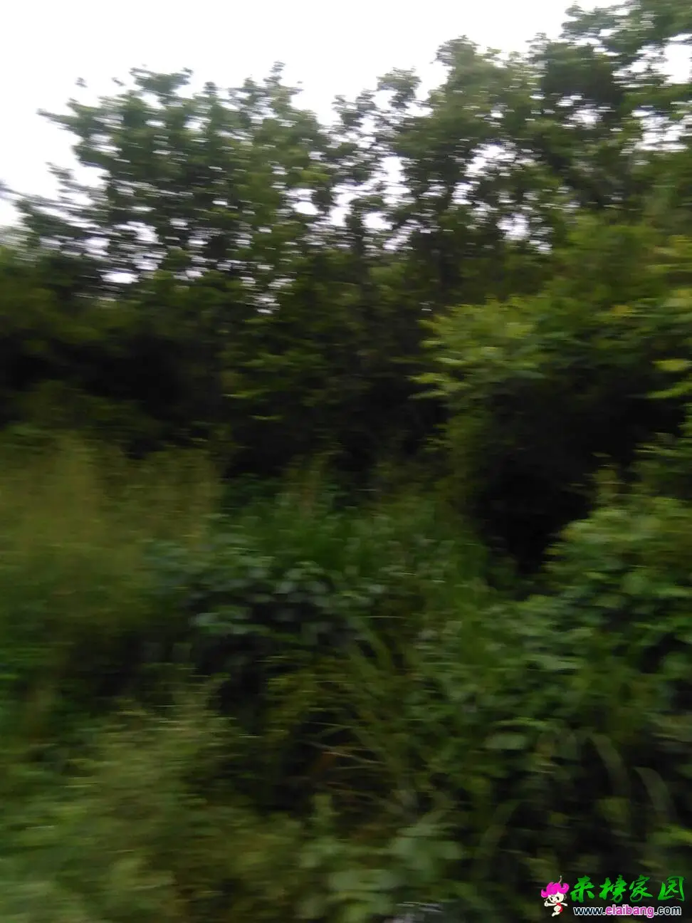 055255soooi2uoo8osxou1.webp