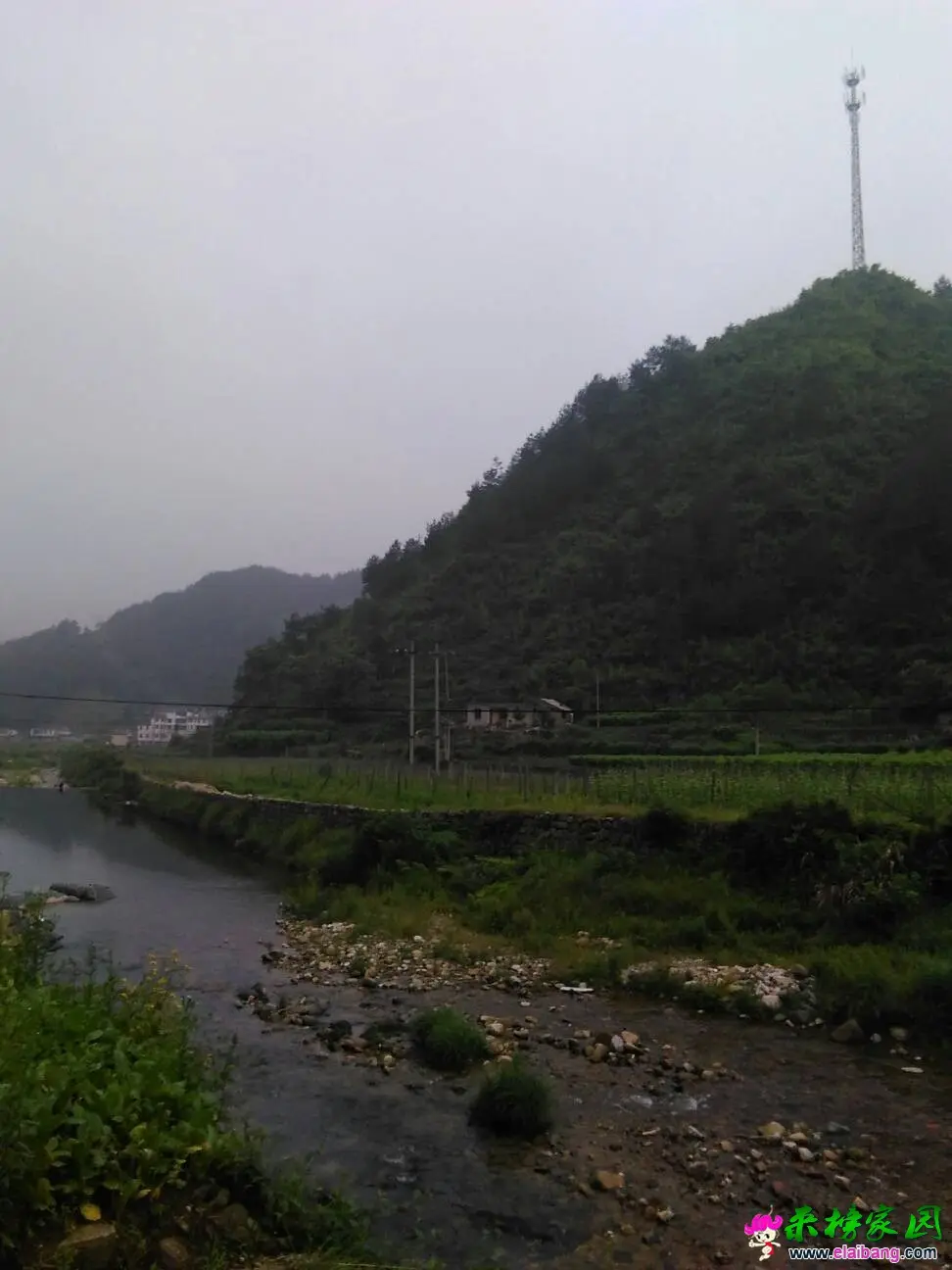 063816zignuin1f1mixhgd.webp
