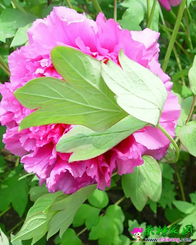 070900x8kreknrxgx6xwpk.webp