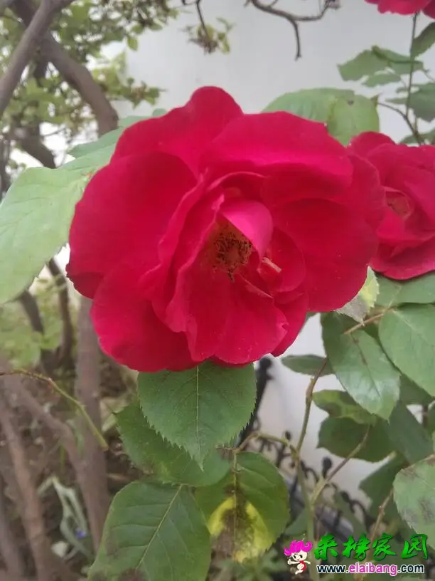 134831ezmjz11j9j94o3cl.webp