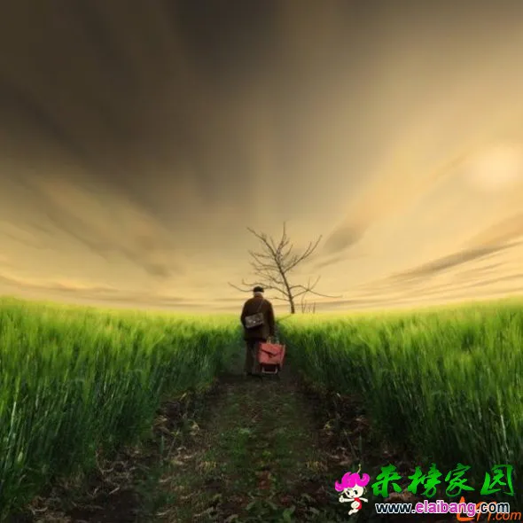 1339306585148_ki44kx.webp
