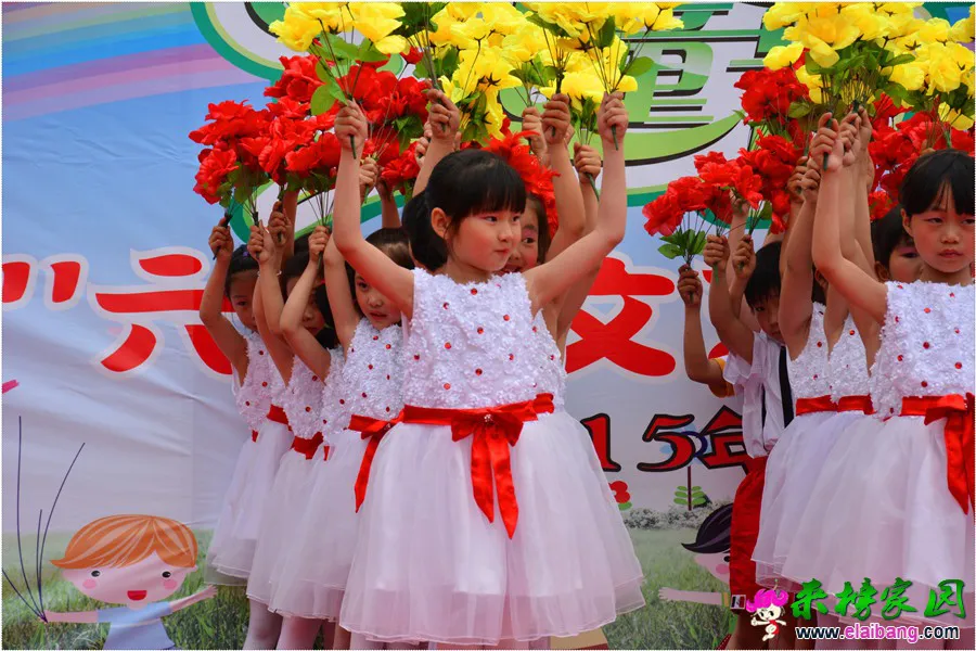 DSC_1512.webp