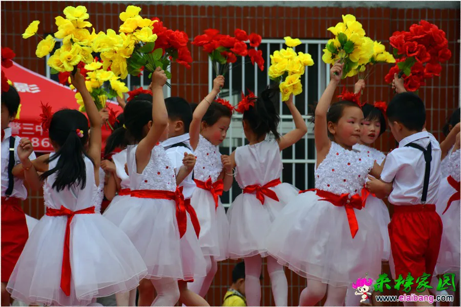 DSC_1519.webp