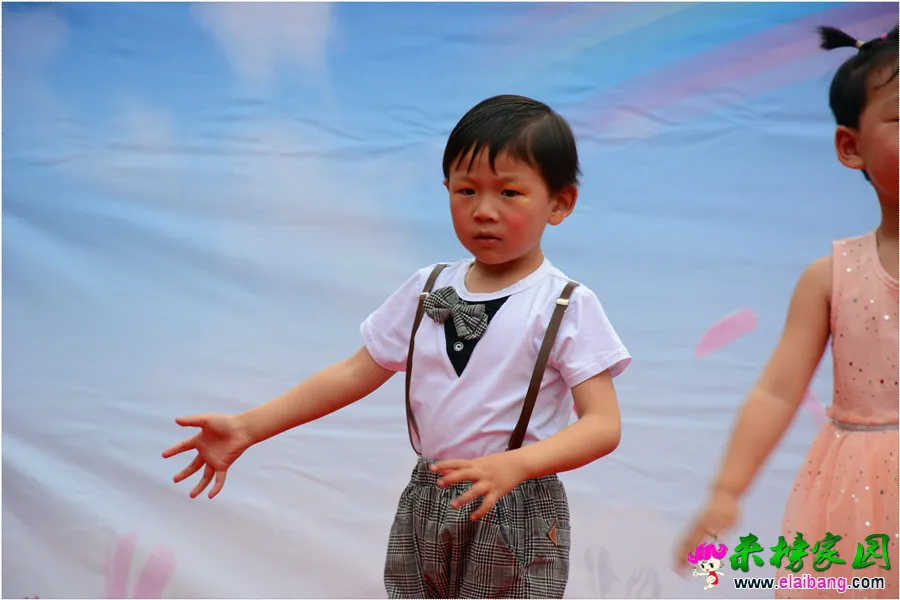 DSC_1530.webp