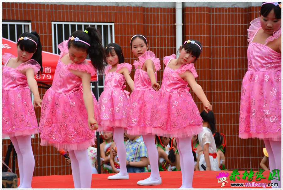 DSC_1557.webp