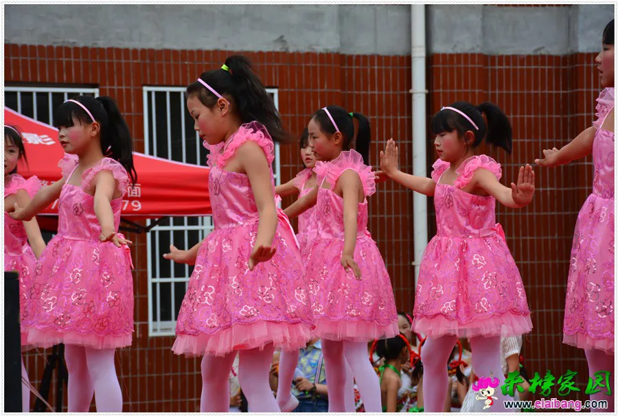 DSC_1558.webp