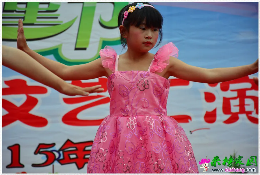 DSC_1562.webp
