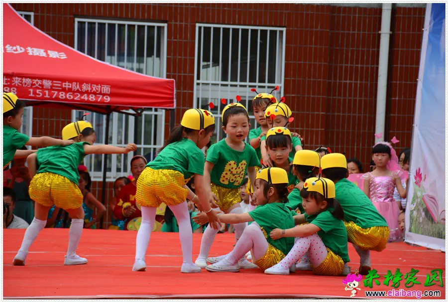 DSC_1762.webp
