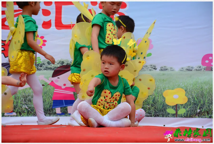DSC_1776.webp