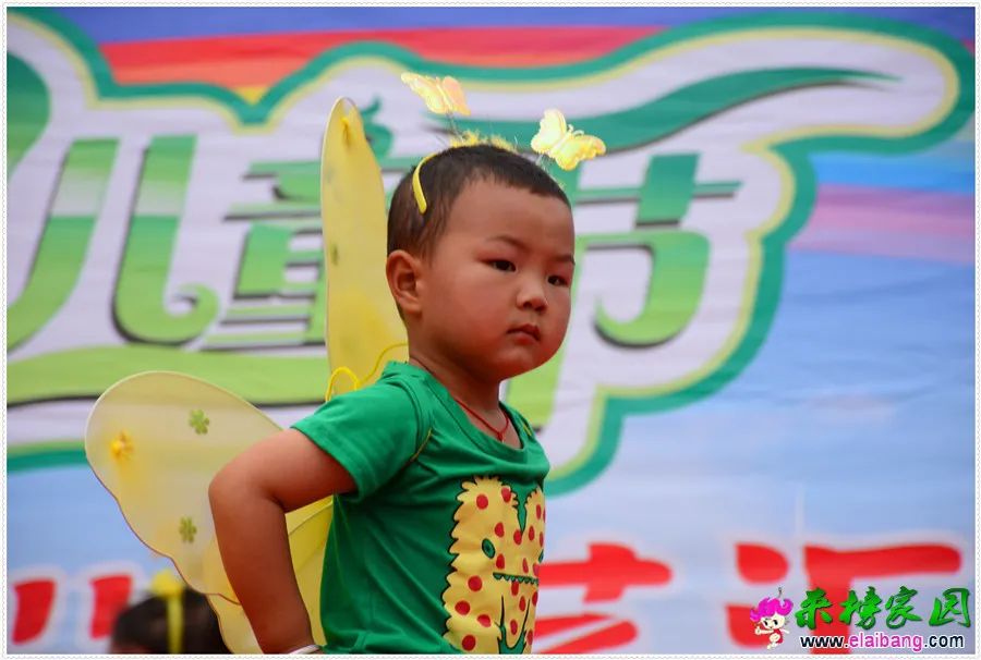 DSC_1784.webp