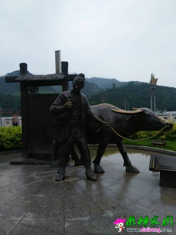 151210o8y770t2790vv9sa.webp