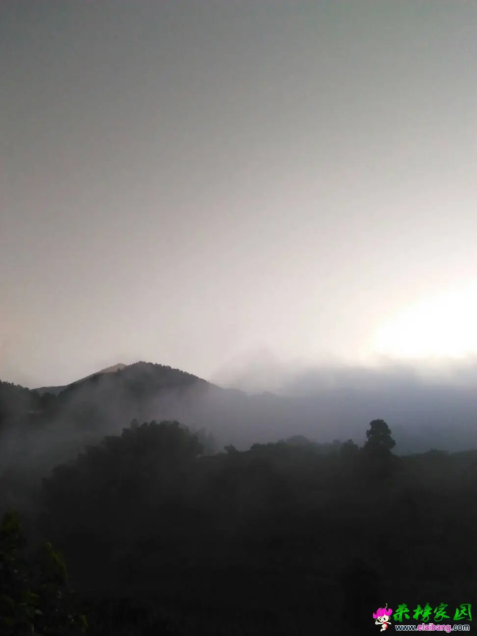 054224fm660jwua2ujh1pw.webp