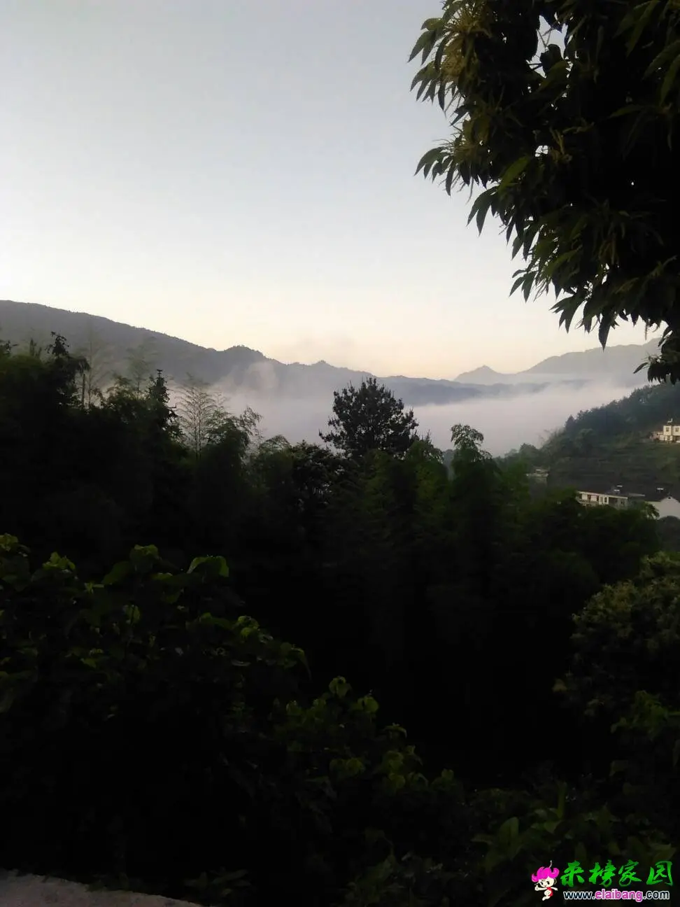 054802ysaz0wqbq00cwcaa.webp