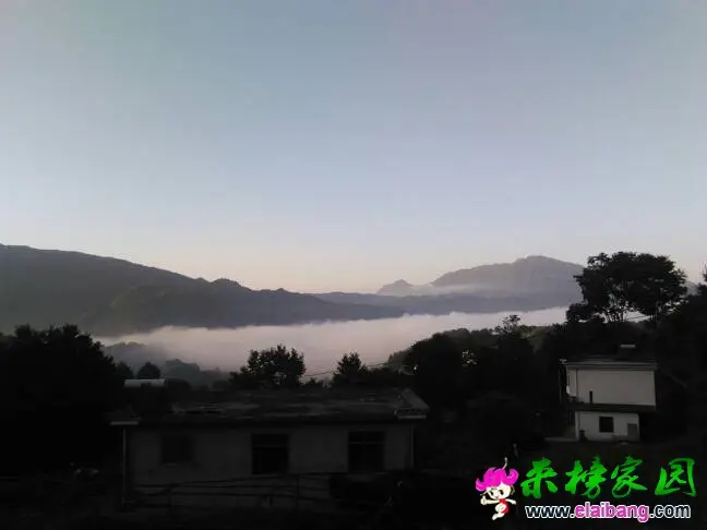 055417mgzg3bjsg13scluu.webp