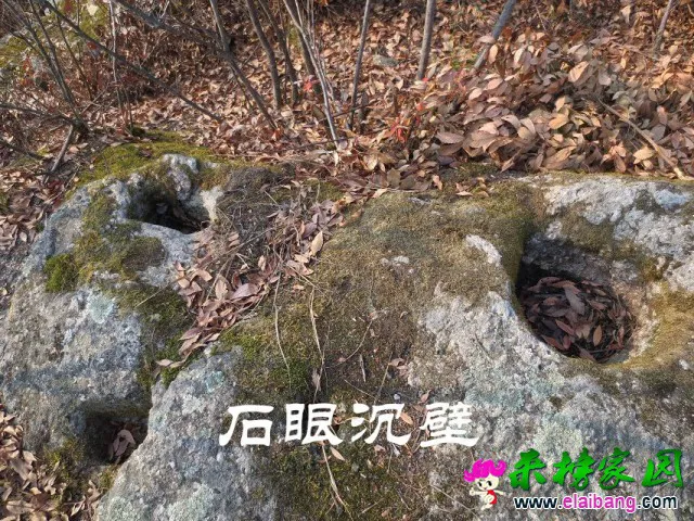 psbOFRGBEH0.webp