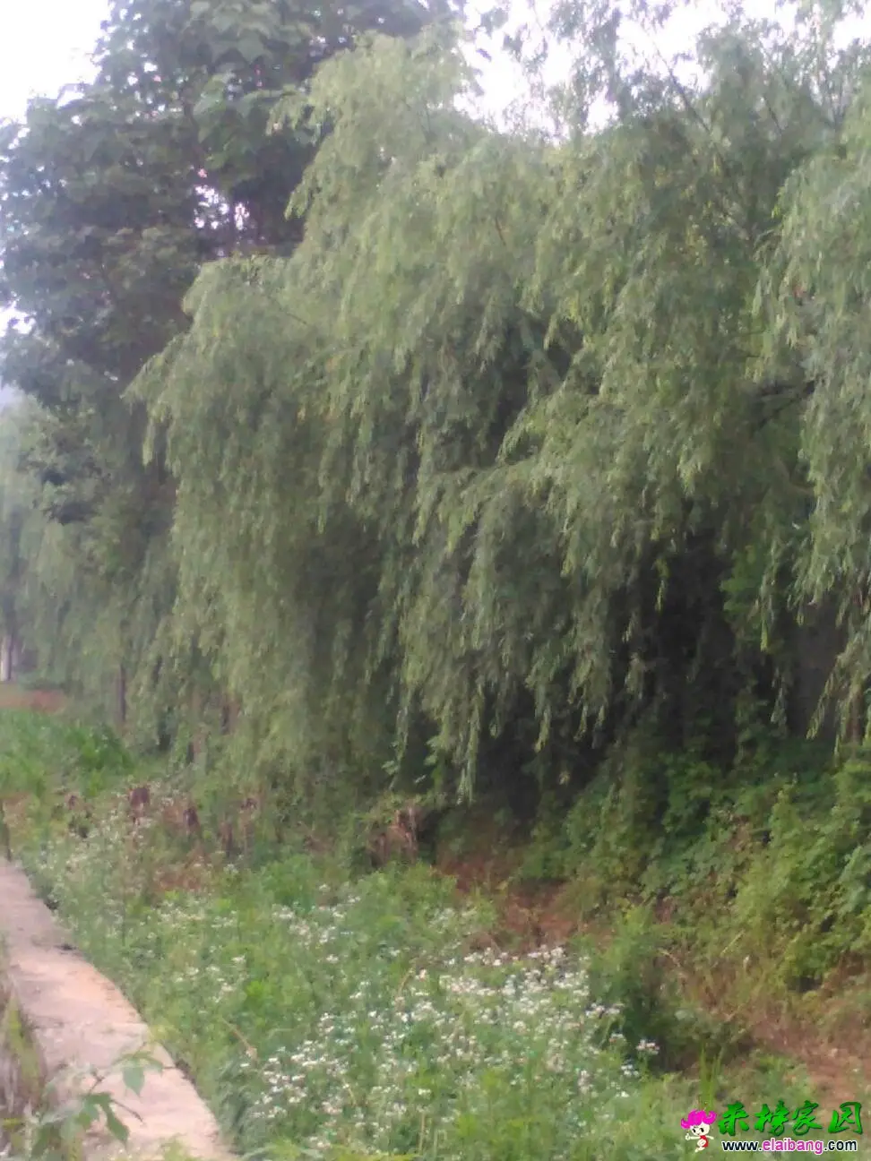 062312ee8it3kr9n63kxp6.webp