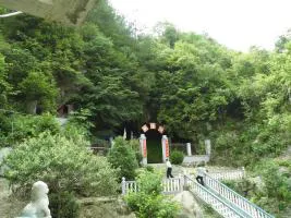 psb (15).webp