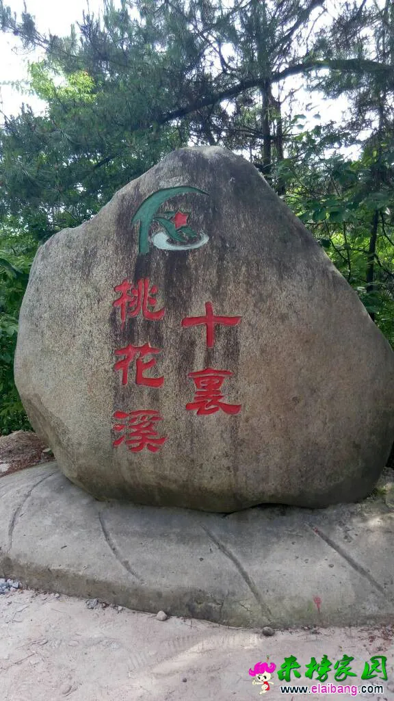 214930lddj26771ym77d9s.webp