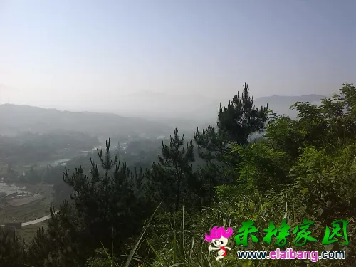 IMG_20150605_080321.webp