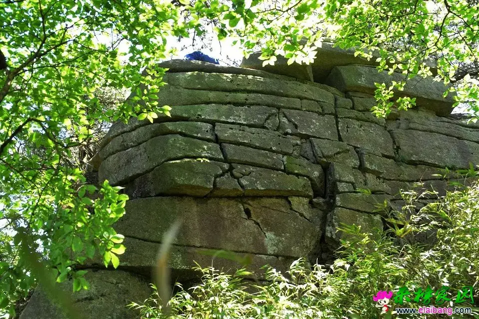 16.webp